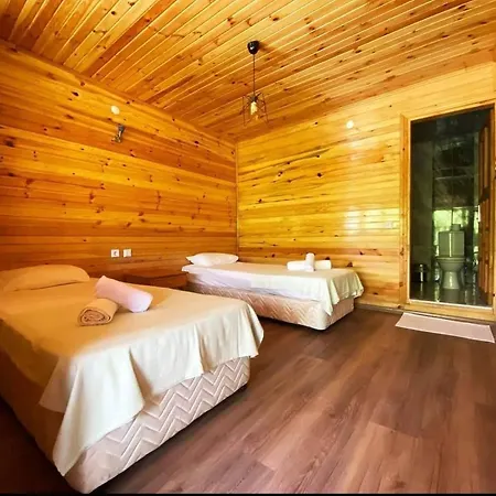 Gaia Olimpos Yazir (Kumluca)
